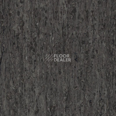 Линолеум Tarkett iq Optima NEUTRAL BLACK 0244 фото 1 | FLOORDEALER